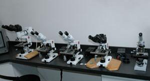 microscopes