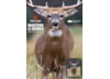 Image of Shooting Accessories category