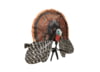 Image of Heat Seekers category