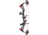 Image of Archery Compound &amp; Recurve Bows category