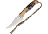 Image of Skinning Knives category