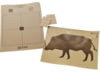 Image of Shooting Accessories category
