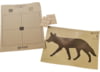 Image of Paper Targets category