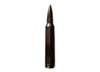 Image of 300 Win Mag Ammo category