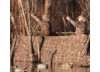 Image of Boat Blinds category