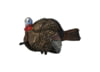 Image of Turkey Hunting Decoys category