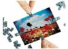 Image of Miscellaneous Accessories category