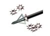 Image of Broadheads &amp; Points category
