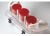 Image of Constant Temperature Equipment category