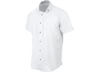 Image of Men's Shirts category