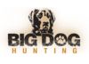 Image of Big Dog Hunting category