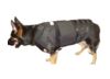 Image of Police &amp; Duty Gear category