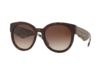 Image of Bifocal Sunglasses category
