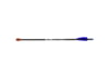 Image of Crossbow Bolts category