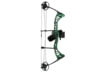 Image of Bowfishing category