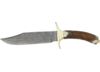 Image of Bowie Knives category