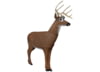 Image of Archery Equipment category