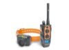 Image of Dog Collars category