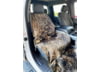 Image of Car Accessories category