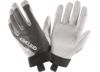 Image of Gloves category