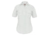 Image of Women's Shirts category
