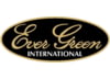 Image of Evergreen category