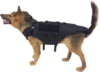 Image of Dog Gear and Training category