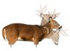Image of Hunting Decoys category