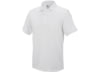 Image of Men's Shirts category