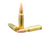 Image of Ammunition category