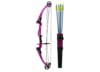 Image of Archery Compound &amp; Recurve Bows category