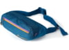 Image of Fanny Packs &amp; Waist Bags category