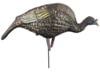 Image of Turkey Hunting Decoys category