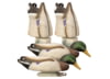 Image of Duck Hunting Decoys category