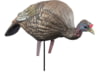 Image of Turkey Hunting Decoys category