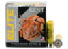 Image of 20 Gauge Ammo category