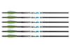 Image of Crossbow Bolts category