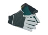 Image of Gloves category
