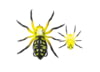 Image of Soft Bait Lures category