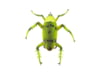 Image of Fishing Lures category