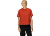 Image of Women's Shirts category