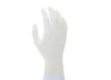 Image of Laboratory Gloves category