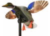 Image of Duck Hunting Decoys category