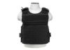 Image of Plate Carriers category