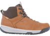Image of Men's Hiking Boots category