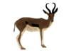 Image of Bow Tuning &amp; Archery Accessories category