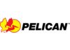 Pelican