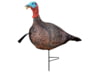 Image of Turkey Hunting Decoys category