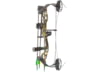 Image of Archery Compound &amp; Recurve Bows category