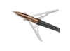 Image of Broadheads &amp; Points category